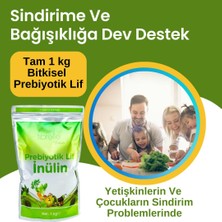 Fibrelle Prebiyotik Lif Inulin 1 kg