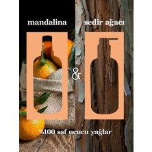 Lindos - Aromaterapik Soya Mumu - Mandarin & Cedar - 100 cc