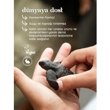 Lindos - Aromaterapik Soya Mumu - Mandarin & Cedar - 100 cc