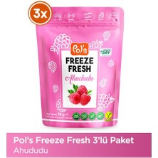 Pol's Freeze Fresh Ahududu 16 g x 3 Adet Freeze Dry Dondurularak Kurutulmuş Meyve