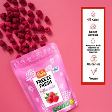 Pol's Freeze Fresh Ahududu 16 g x 3 Adet Freeze Dry Dondurularak Kurutulmuş Meyve