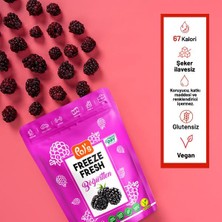 Pol’s Freeze Fresh Çilek 15 g x 1 Adet, Vişne 25 g x 1 Adet , Böğürtlen 20 g x 1 Adet Freeze Dry Dondurularak Kurutulmuş Meyve