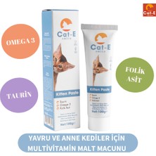 Kitten Paste Yavru ve Anne Kediler Için Mal Macunu