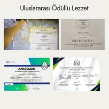 Ayolis Premium Gurme Ayvalık Zeytinyağı 500 Ml Ödüllü Yüksek Polifenollü Erken Hasat Soğuk Sıkım Natürel Sızma Zeytinyağı