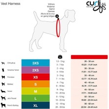 Curli Vest Air-Mesh Köpek Göğüs Tasması Açık Mavi Xxxsmall 26-30 cm