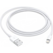 Apple Lightning - USB Kablosu (1 M)