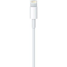 Apple Lightning - USB Kablosu (1 M)