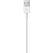 Apple Lightning - USB Kablosu (1 M)