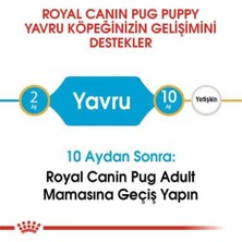 Royal Canin Pug 25 Pug Junior Yavru Köpek Maması 1,5 Kg