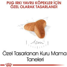 Royal Canin Pug 25 Pug Junior Yavru Köpek Maması 1,5 Kg