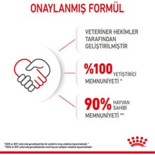 Royal Canin Kitten Yavru Kuru Kedi Maması 400 g