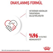 Royal Canin BabyCat 34 Yavru Kuru Kedi Maması 400 gr