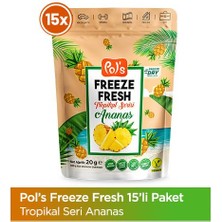 Pol's Freeze Fresh Ananas 20 g x 15 Adet Freeze Dry Dondurularak Kurutulmuş Meyve