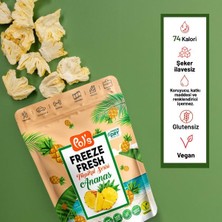 Pol's Freeze Fresh Ananas 20 g x 15 Adet Freeze Dry Dondurularak Kurutulmuş Meyve