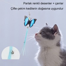 Odysseus Masif Ahşap Saplı Kedi Flört Çubuğu (Yurt Dışından)