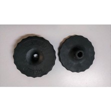 Avrupa Yanak Lastiği