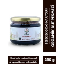 Mill & More Organik Dut Pekmezi 350 G +6 Ay