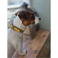 Lino Küçük Irk Köpek Tasması %100 Deri Nikel Kaplama Irk Rozetli Kahve - DKT02