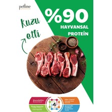 Petline Petline Süper Premium Hypoallergenic - Kuzu Etli Hypoallergenic Yetişkin Kedi Maması 1,5kg