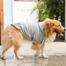 Büyük Irk Köpekler Için Sweatshirt