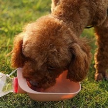 Periboia Evcil Hayvan Plastik Su Kabı Taşınabilir Seyahat Pet Su  Şişesi Bağlantılı Kap