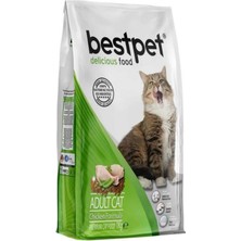 Tavuk Etli ve Pirinçli Yetişkin Kedi Maması 1kg - 4 Adet