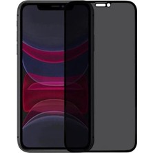 3gen Case iPhone 11 Uyumlu Hayalet Anti-Statik Cam Ekran Koruyucu Gizlilik Korumalı