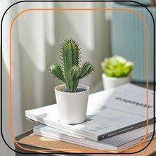 IKEA Yapay Fejka Kaktüs