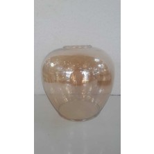 Woodhub Bal Rengi Oval Fanus Avize Camı E27 (Orta Çap 13  cm ,boyu 12,5  cm )