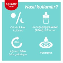 Colgate Plax Taze Nane Alkolsüz Ağız Bakım Suyu 250 ml X3 Adet