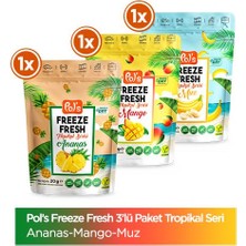 Pol's Freeze Fresh Tropikal Seri Ananas 20 G, Mango 20 G, Muz 20 G Freeze Dry Dondurularak Kurutulmuş Meyve