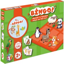 Bingo Oyunu \ Hayvanlar ve Yiyecekleri -Animals And Their Food