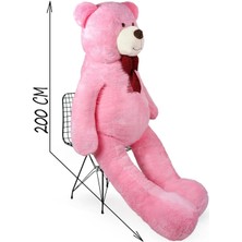 Pandamkee 200 cm Papyonlu Ayıcık