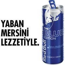 Red Bull Enerji Içeceği Yaban Mersini 250 ml