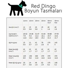 Red Dingo Breezy Love Desenli Köpek Boyun Tasması Mor 20 mm