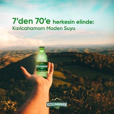 Kızılcahamam Çamlık Doğal Maden Suyu Sade 200 ml x 6 Adet
