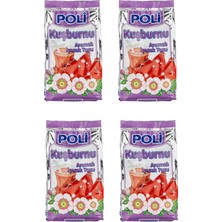 Poli Toz Içecek Kuşburnu 300 gr x 4 Adet