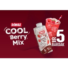 Dimes Cool Beryy Mix 310 ml x 24 Adet