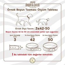 Cattie Boncuklu Deri Küçük Irk Köpek ve Kedi Boyun Tasması Xsmall Royal Mavi 1x12-16 Cm