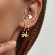 Altıntaş Yonca Altın Tragus