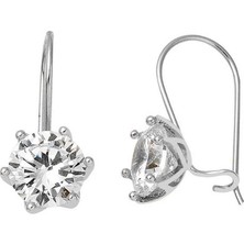 Bilezikci 14 Ayar Beyaz Altın Sarkaç Tektaş Küpe