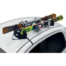 Igloo Mıknatıslı 2'li Kayak Bagajı /SYBG440