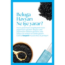 Rayas Arındırıcı ve Aydınlatıcı Yüz Peelingi Beluga Havyarı , Aloe Vera ve Salatalık Özlü 100 ml