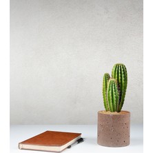 Beton Saksı - 12,5 cm Çap, Modern ve Minimalist Tasarım, Dayanıklı ve Dekoratif