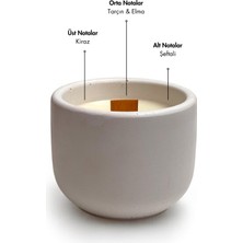 Candle Purr Cinnamon Frost 130G Soya Mumu -El Yapımı Beyaz Beton Kapta