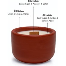 Candle Purr Pine Haven 200G Soya Mumu -El Yapımı Kiremit Kırmızısı Beton Kapta
