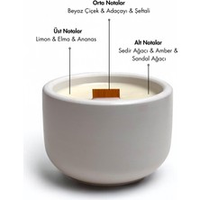 Candle Purr Pine Haven 200G Soya Mumu -El Yapımı Beyaz Beton Kapta