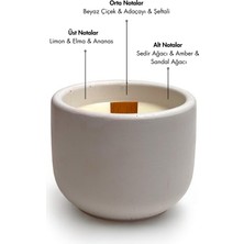 Candle Purr Pine Haven 130G Soya Mumu -El Yapımı Beyaz Beton Kapta