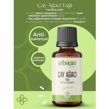 Çay Ağacı Uçucu Yağı %100 Doğal Saf 10 ml