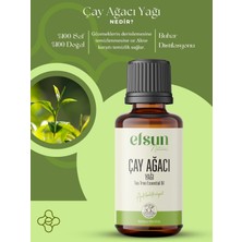 Çay Ağacı Uçucu Yağı %100 Doğal Saf 10 ml